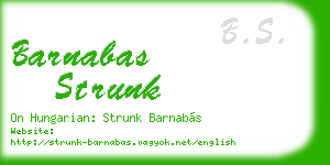 barnabas strunk business card